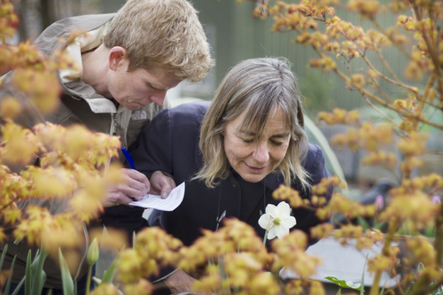 Participants of the Scent of Amsterdam Workshop smelling flowers